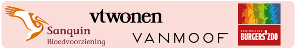 Cases tijdens Visual Marketing in 1 Day Cases tijdens Visual Marketing in 1 Day